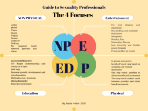 4 focuses of sexuality professionals: non physical, physical; education and entertainment